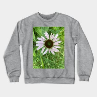 Pale Coneflower Crewneck Sweatshirt